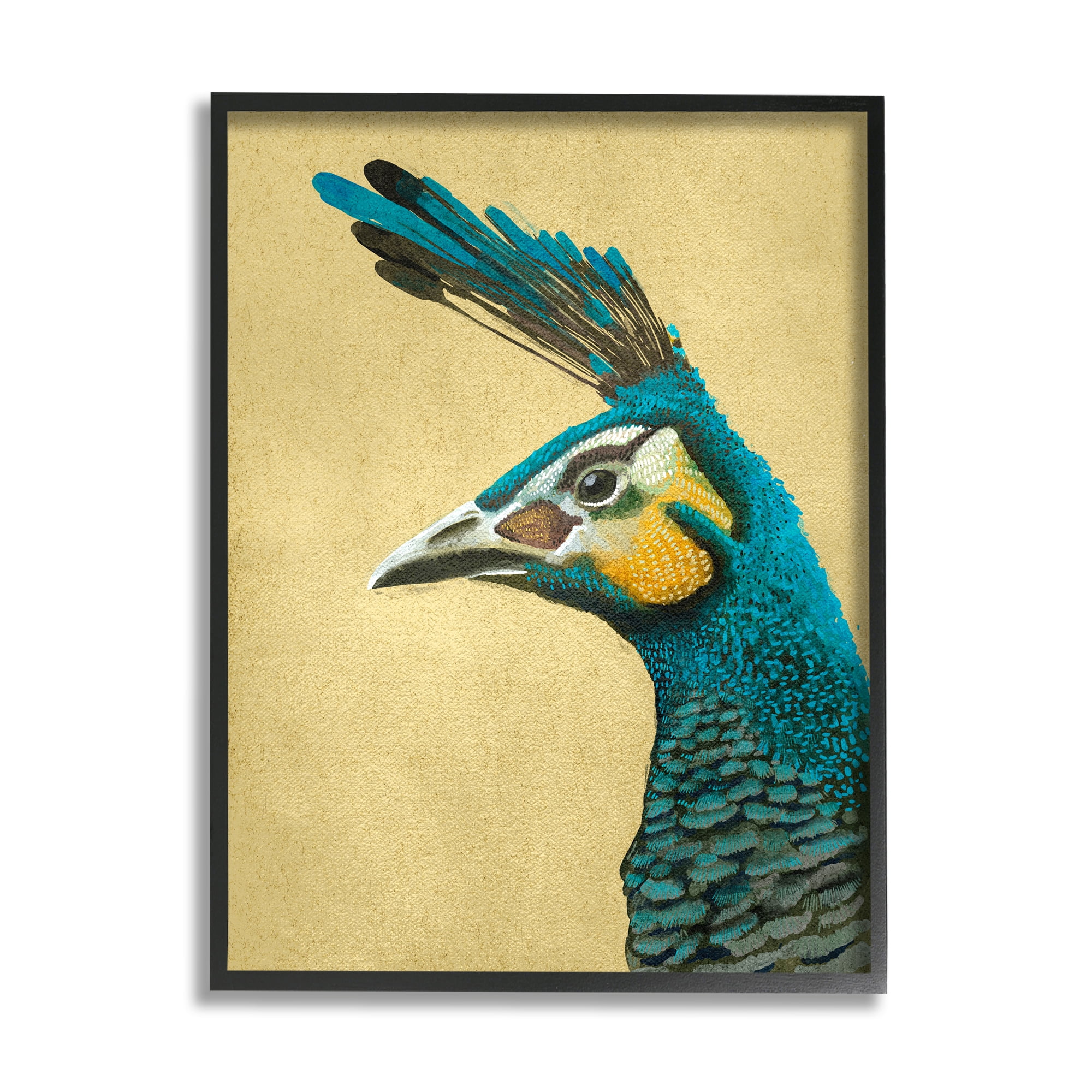 Stupell Industries Peacock Looking Left Animals & Insects Painting Black Framed Art Print Wall Art, 11 x 14