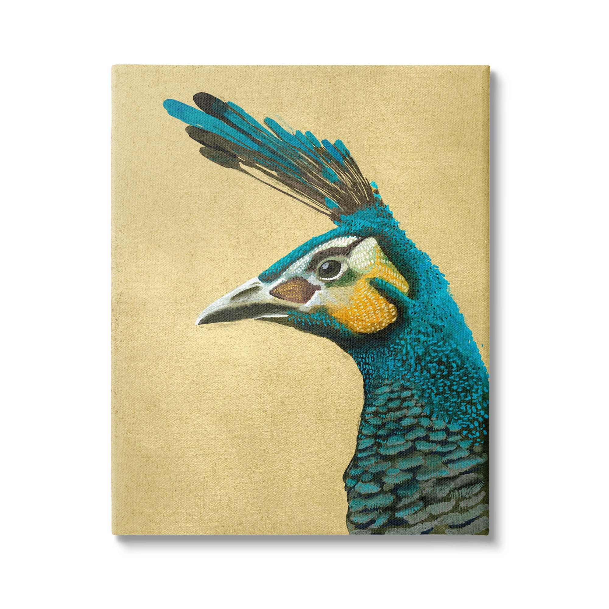 Stupell Industries Peacock Looking Left Animals & Insects Painting Gallery Wrapped Canvas Art Print Wall Art, 30 x 40