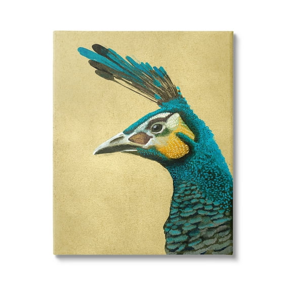 Stupell Industries Peacock Looking Left Animals & Insects Painting Gallery Wrapped Canvas Art Print Wall Art, 36 x 48