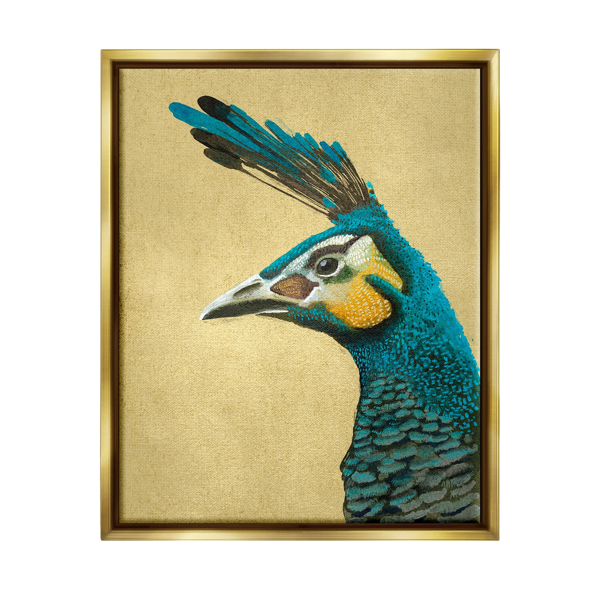 Stupell Industries Peacock Looking Left Animals & Insects Painting Gold Floater Framed Canvas Art Print Wall Art, 25 x 31