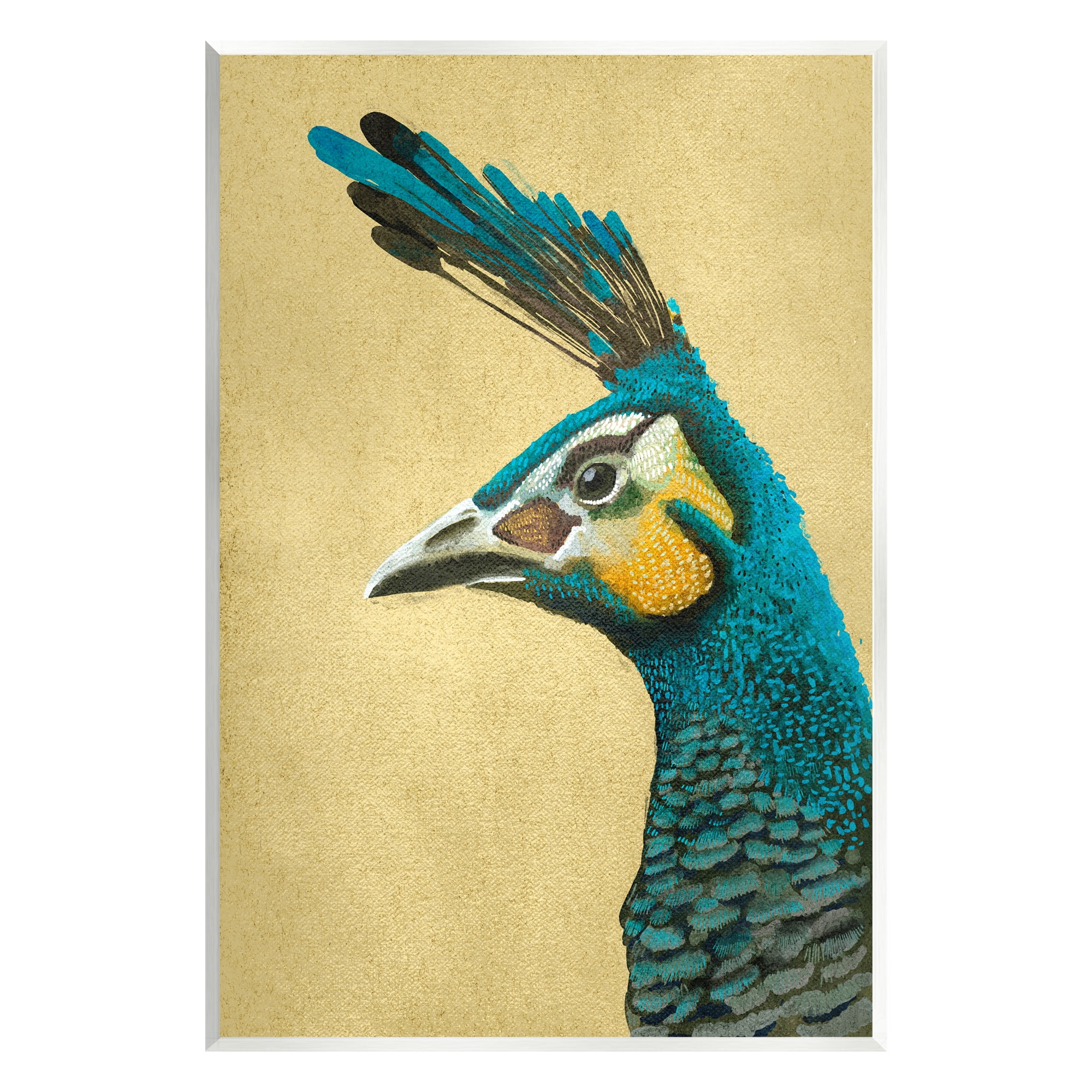 Stupell Industries Peacock Looking Left Animals & Insects Painting Unframed Art Print Wall Art, 13 x 19