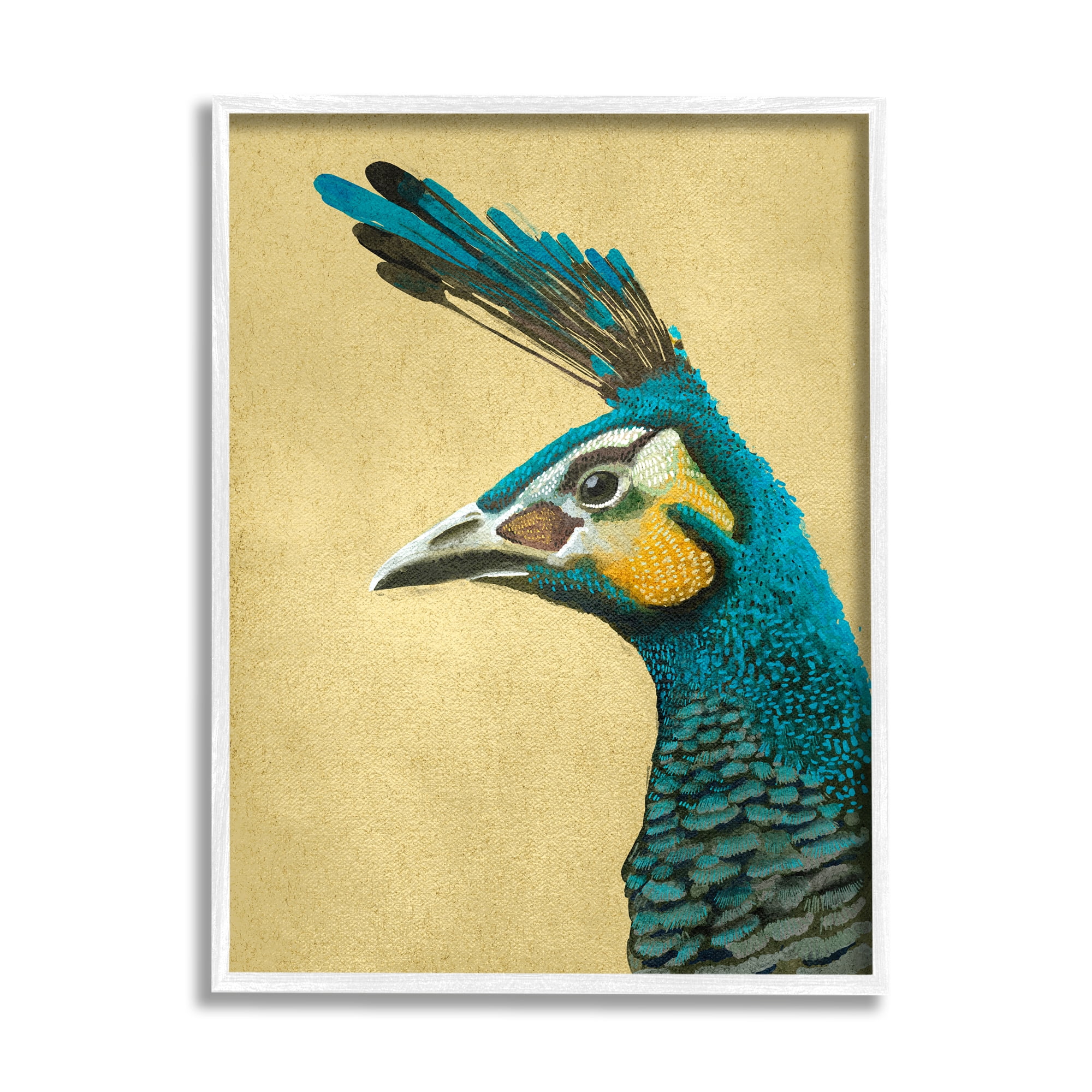 Stupell Industries Peacock Looking Left Animals & Insects Painting White Framed Art Print Wall Art, 24 x 30