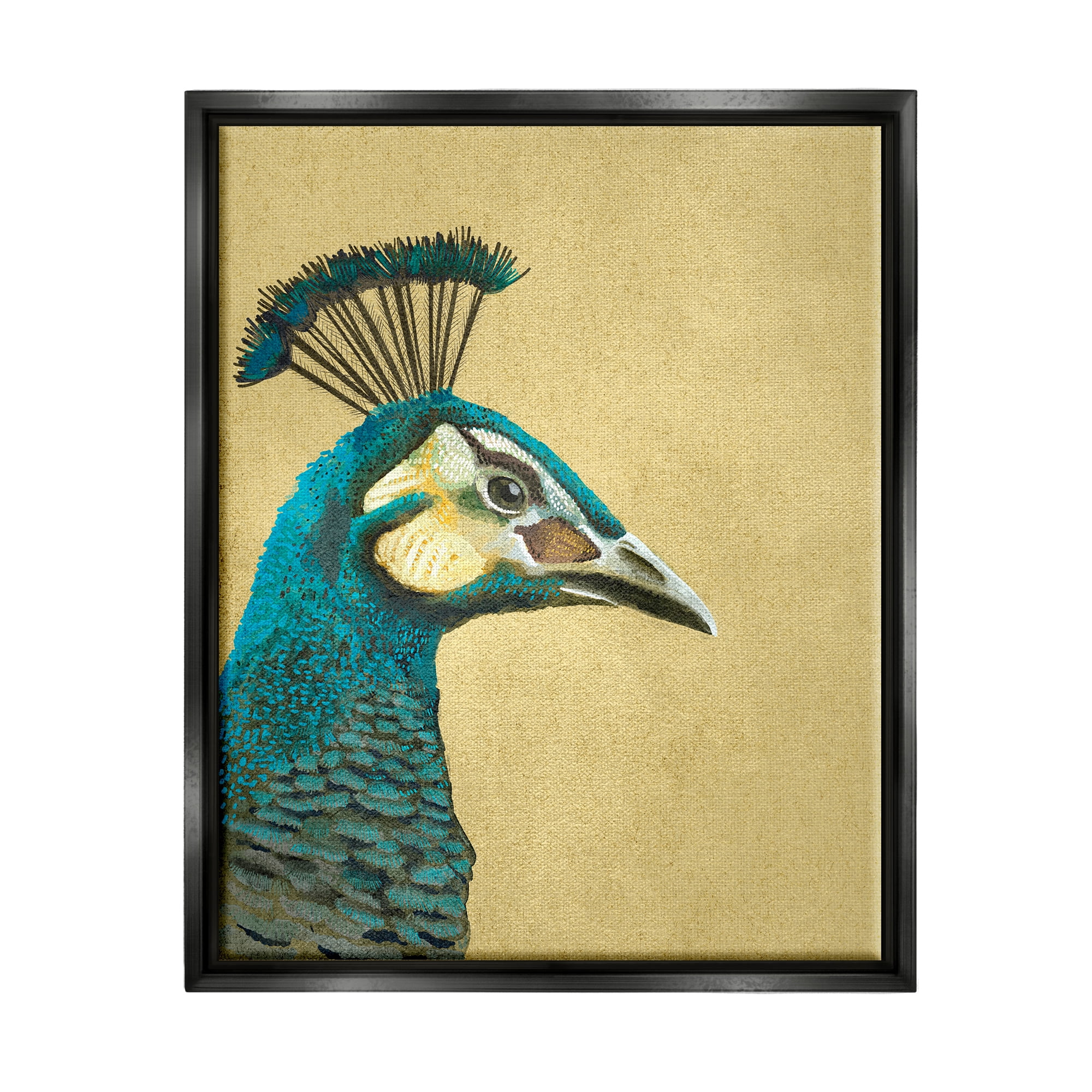 Stupell Industries Peacock Looking Right Animals & Insects Painting Black Floater Framed Canvas Art Print Wall Art, 25 x 31