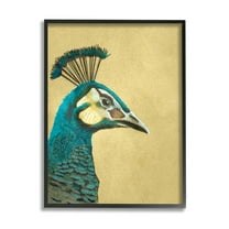 Stupell Industries Peacock Looking Right Animals & Insects Painting Black Framed Art Print Wall Art, 11 x 14