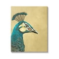 thumbnail image 1 of Stupell Industries Peacock Looking Right Animals & Insects Painting Gallery Wrapped Canvas Art Print Wall Art, 16 x 20, 1 of 8