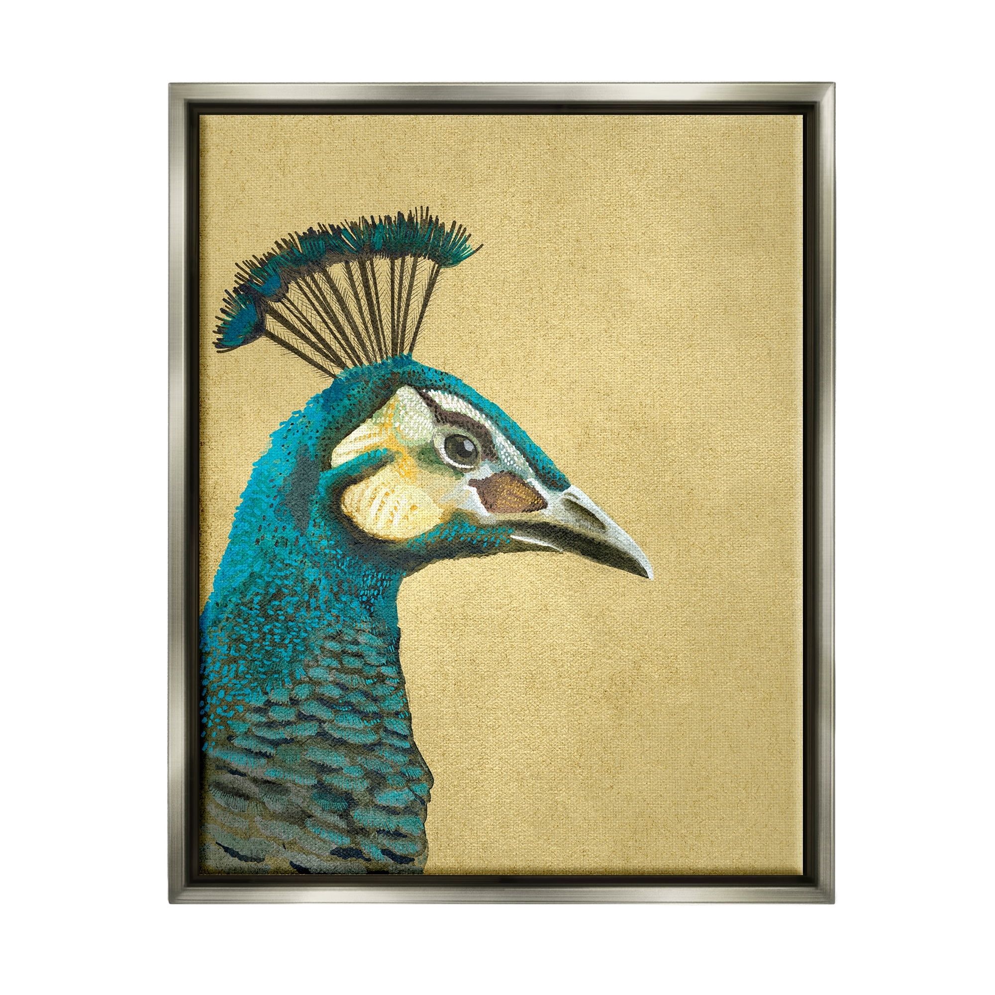 Stupell Industries Peacock Looking Right Animals & Insects Painting Gray Floater Framed Canvas Art Print Wall Art, 25 x 31