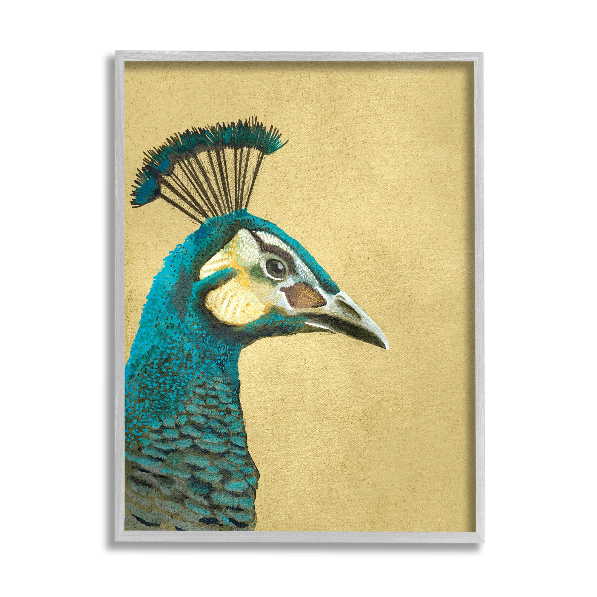 Stupell Industries Peacock Looking Right Animals & Insects Painting Gray Framed Art Print Wall Art, 11 x 14