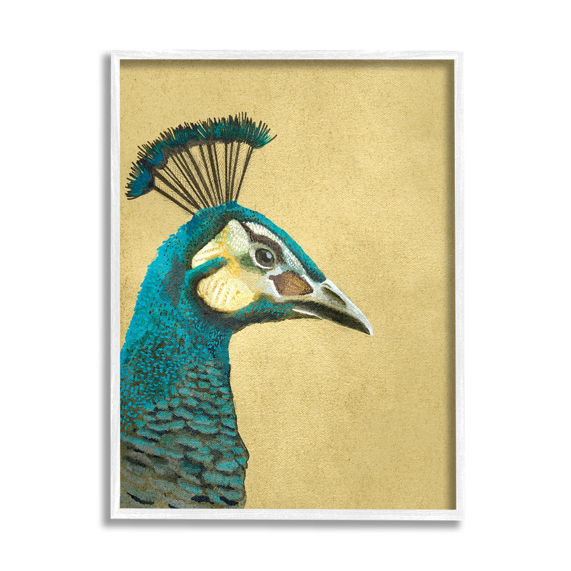 Stupell Industries Peacock Looking Right Animals & Insects Painting White Framed Art Print Wall Art, 11 x 14