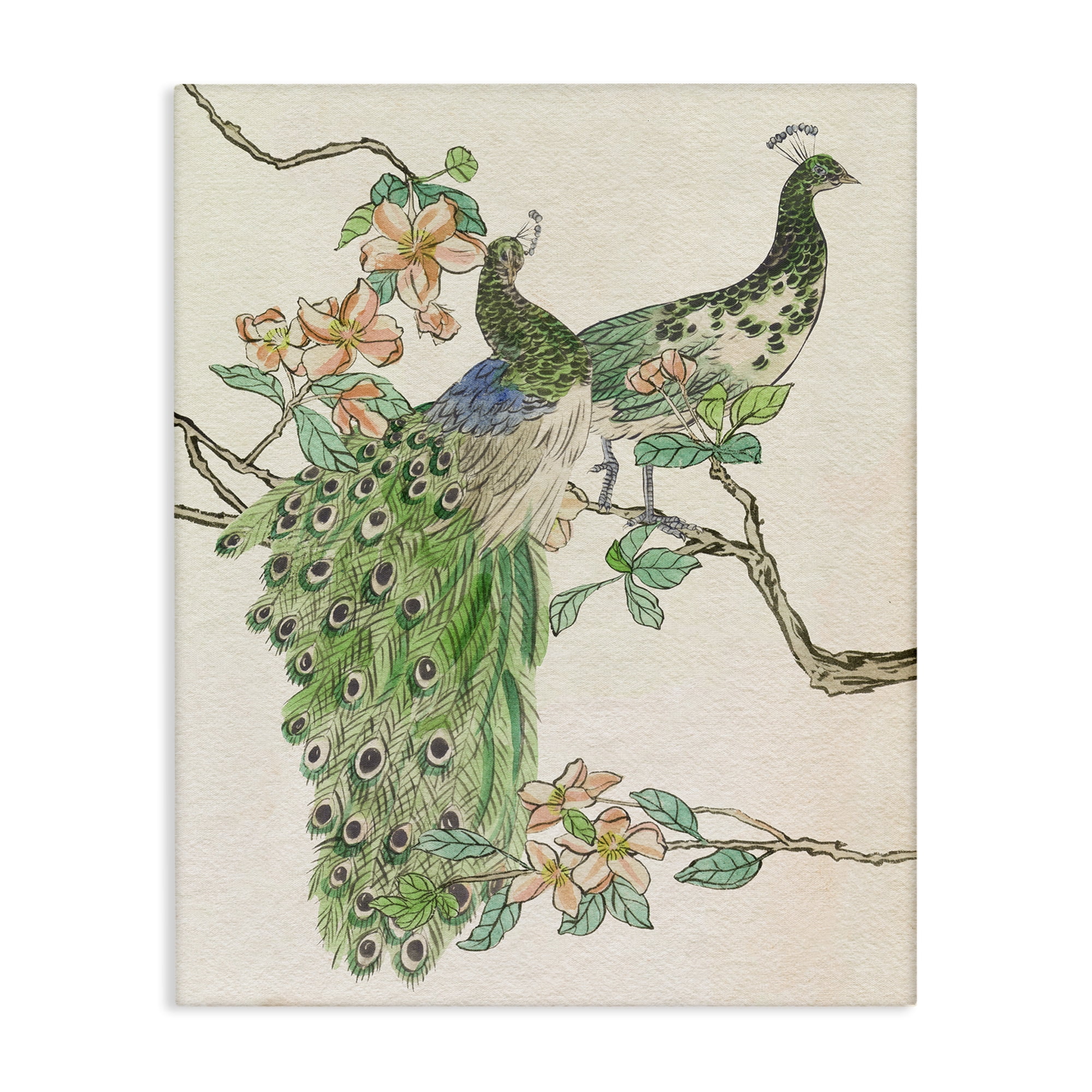 Stupell Industries Peacock Pair on Branch Animals & Insects Painting Gallery Wrapped Canvas Art Print Wall Art, 36 x 48