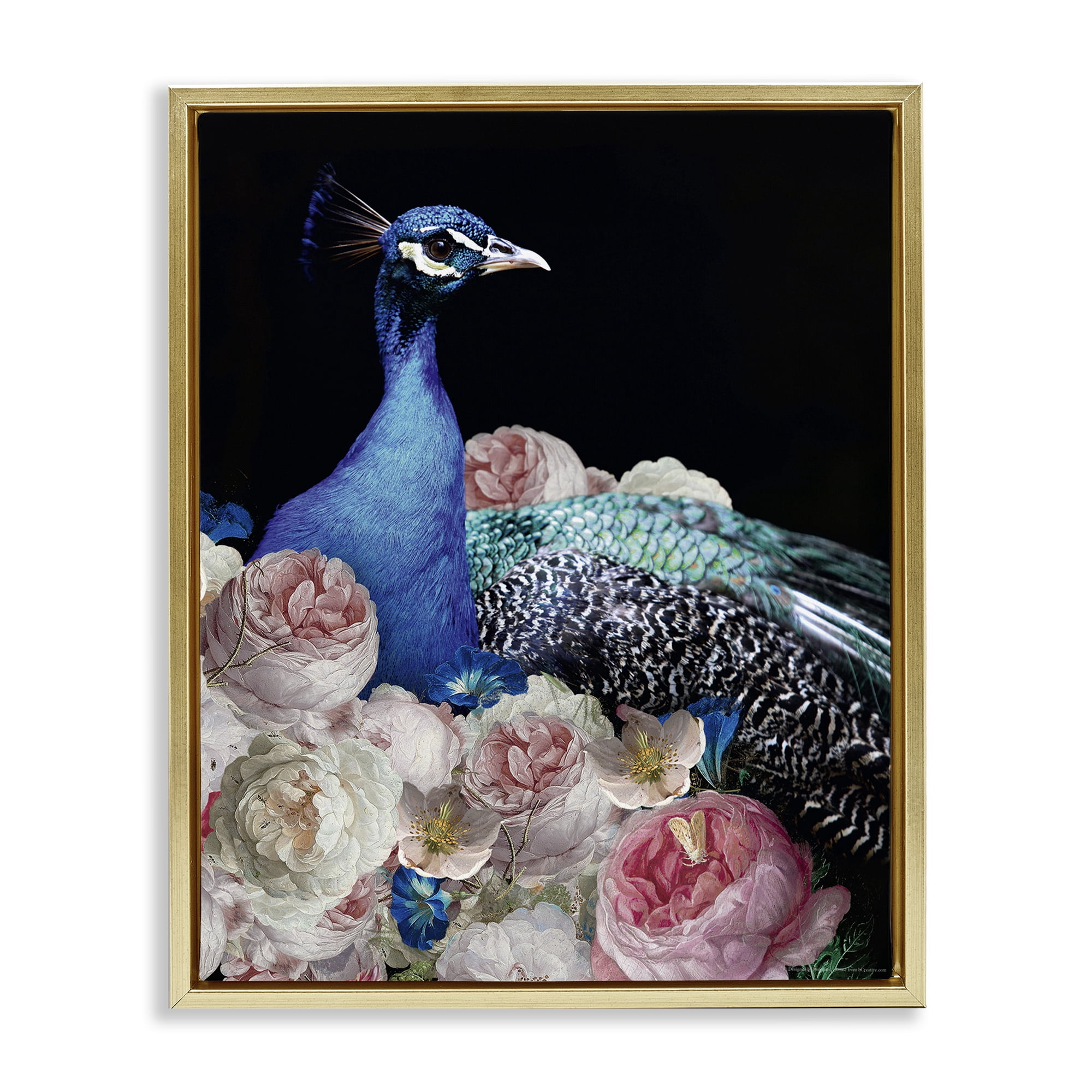 Stupell Industries Peacock & Peonies Animals Painting Gold Floater Framed Canvas Art Print Wall Art, 25 x 31