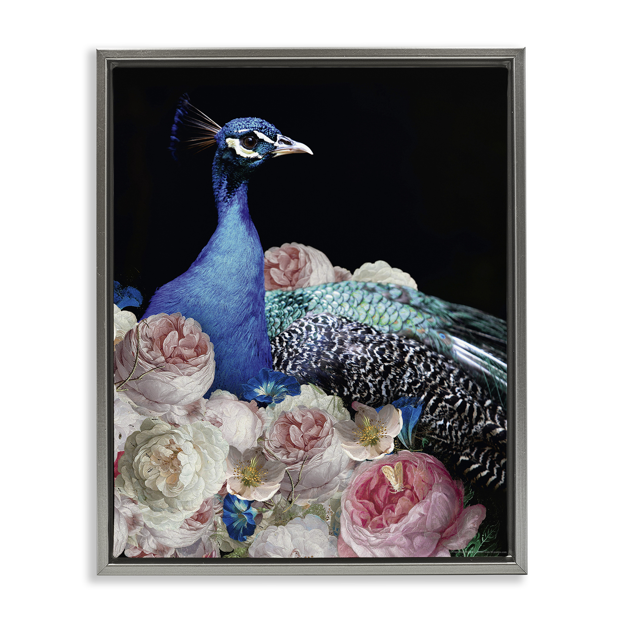 Stupell Industries Peacock & Peonies Animals Painting Gray Floater Framed Canvas Art Print Wall Art, 25 x 31