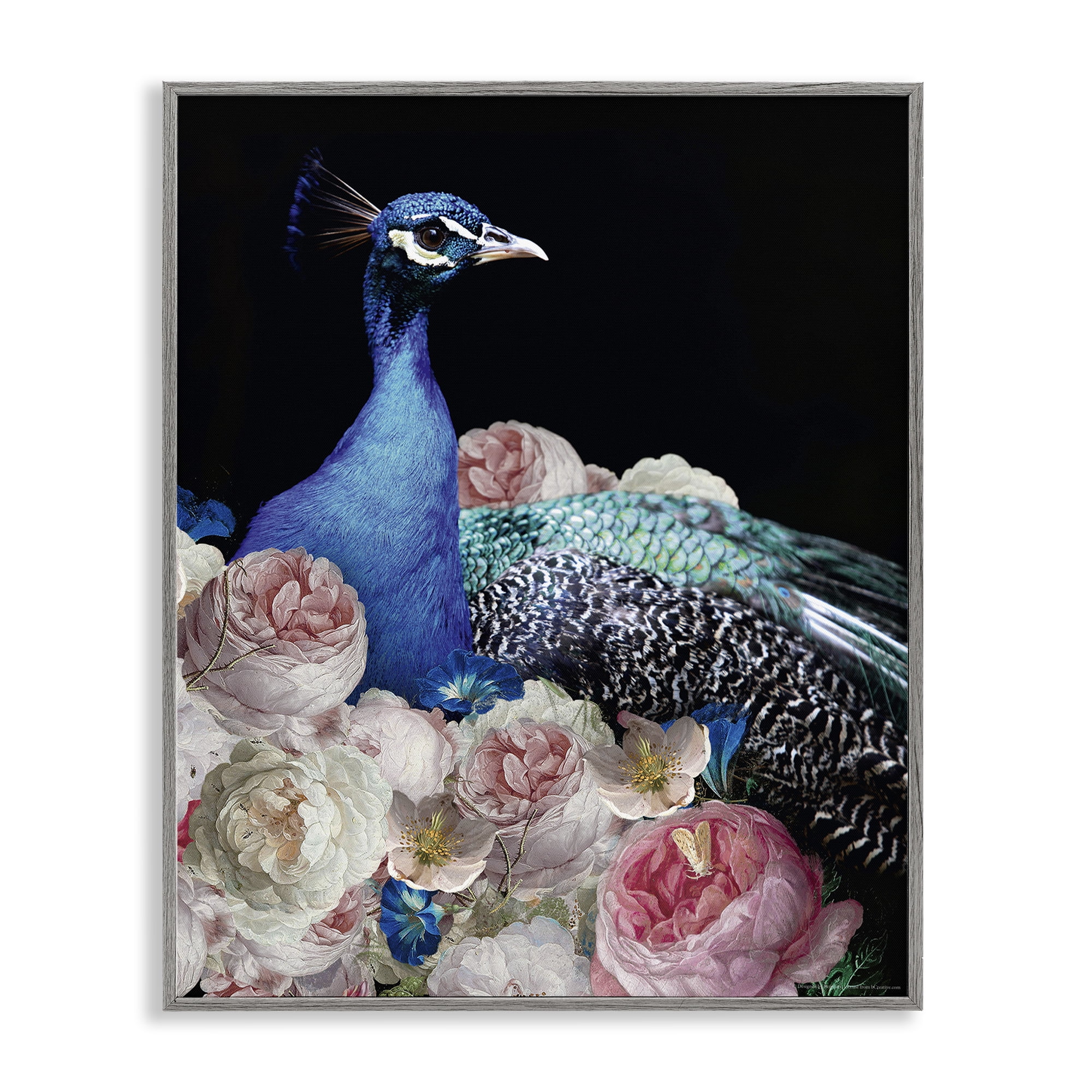 Stupell Industries Peacock & Peonies Animals Painting Gray Framed Art Print Wall Art, 24 x 30