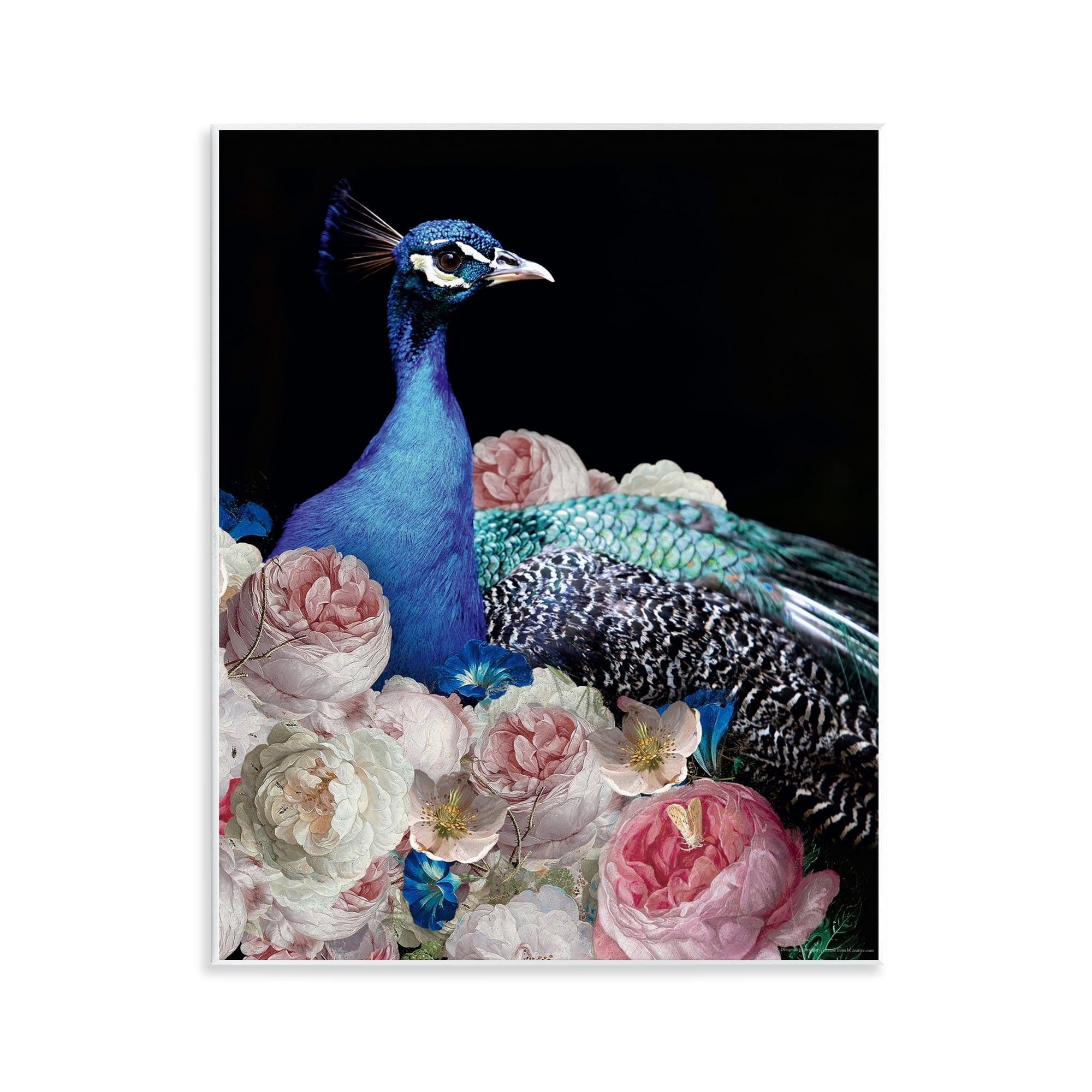 Stupell Industries Peacock & Peonies Animals Painting Unframed Art Print Wall Art, 11 x 14