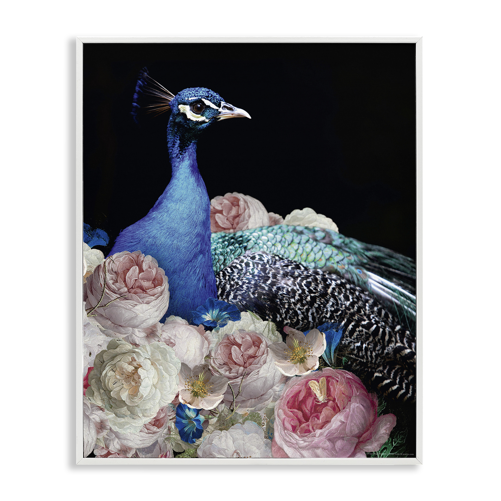 Stupell Industries Peacock & Peonies Animals Painting White Framed Art Print Wall Art, 16 x 20