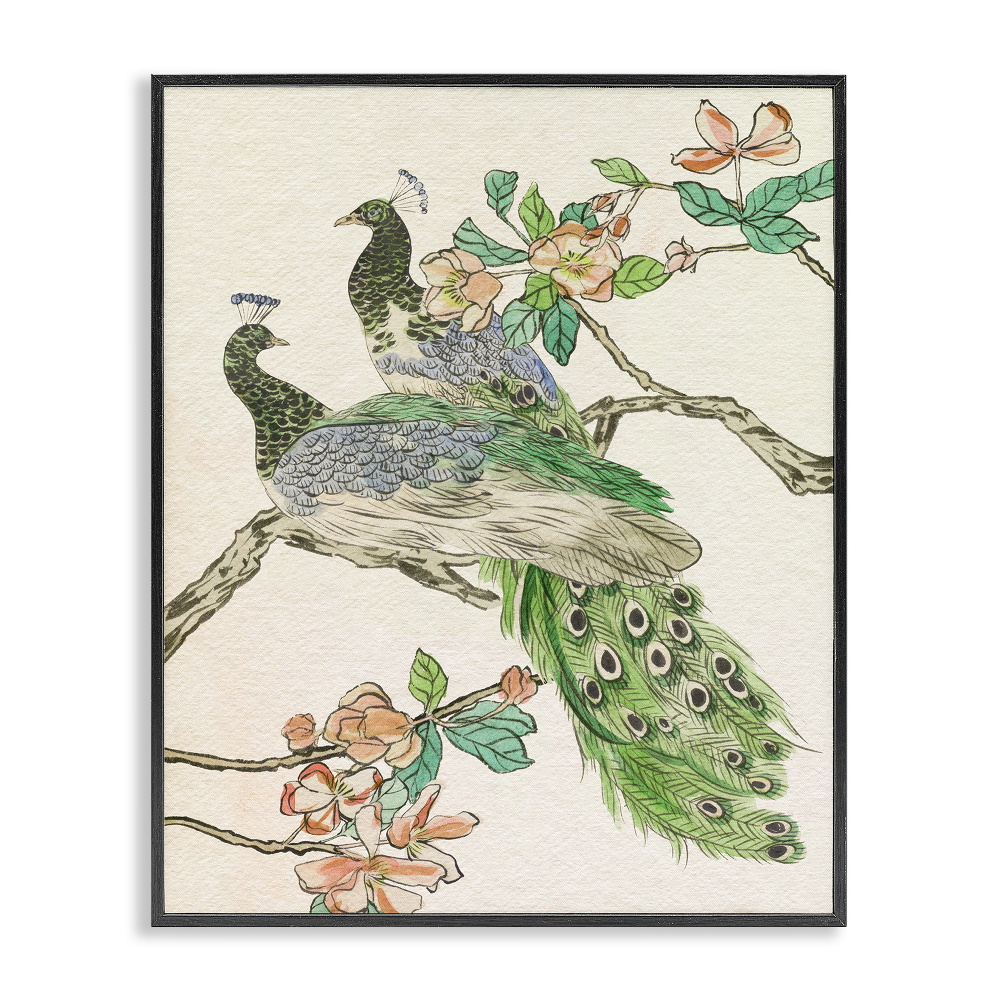 Stupell Industries Peacock Perched on Branch Animals & Insects Painting Black Framed Art Print Wall Art, 11 x 14