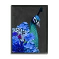 thumbnail image 1 of Stupell Industries Peacock with Blue Flowers Animals & Insects Painting Black Framed Art Print Wall Art, 16 x 20, 1 of 9