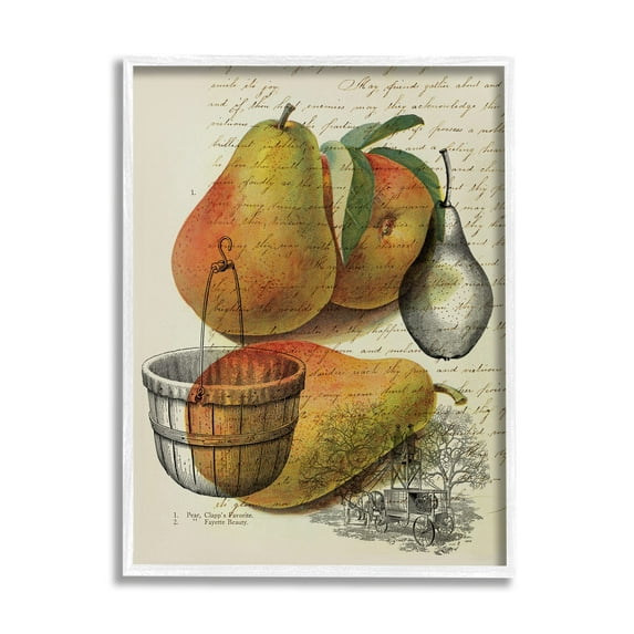 Stupell Industries Pear Fruit Harvest Illustration Vintage Text Passage, 11 x 14,Design by Daphne Polselli