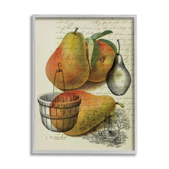 Stupell Industries Pear Fruit Harvest Illustration Vintage Text Passage, 11 x 14,Design by Daphne Polselli