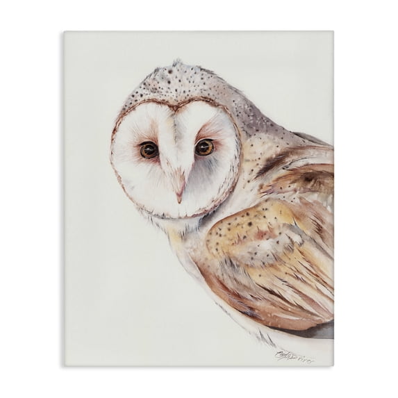 Peeking Barn Owl Gaze Canvas Art, 16 x 20, Made In USA