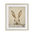 thumbnail image 1 of Stupell Industries Farmhouse Peeking Bunny in Soft Neutrals Birch Framed Print Under Glass, 13 x 16, by LSR Design Studio, 1 of 8
