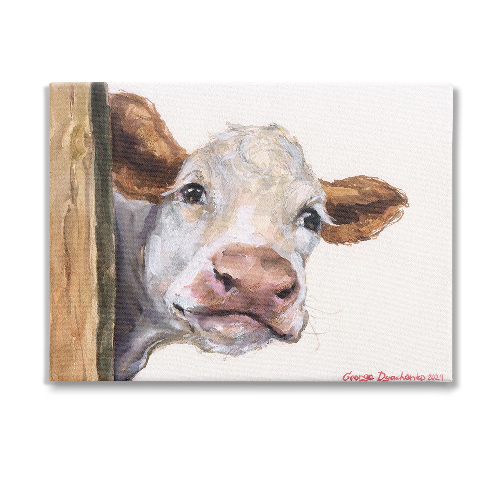 Stupell Industries Peeking Cattle & Fence Animals & Insects Painting Gallery Wrapped Canvas Art Print Wall Art, 40 x 30