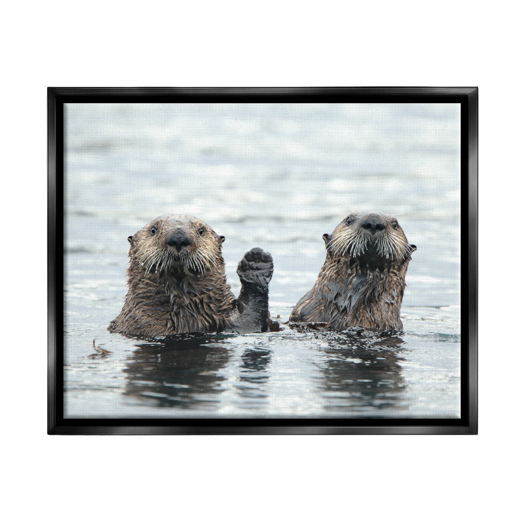 Stupell Industries Peeking Otters in Water Animals & Insects Photography Black Floater Framed Canvas Art Print Wall Art, 21 x 17