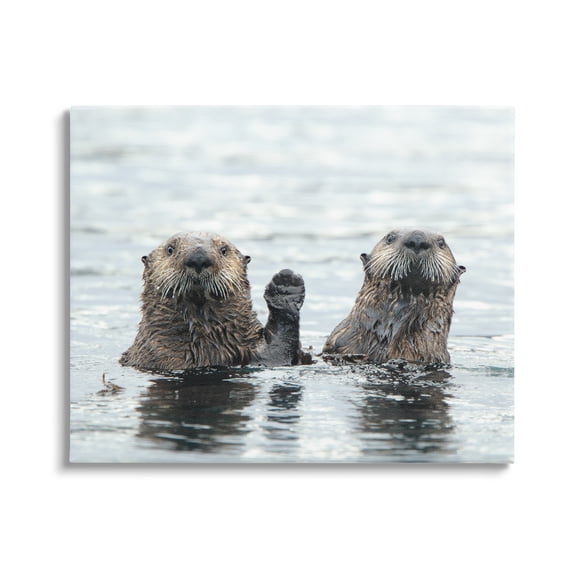 Stupell Industries Peeking Otters in Water Animals & Insects Photography Gallery Wrapped Canvas Art Print Wall Art, 20 x 16