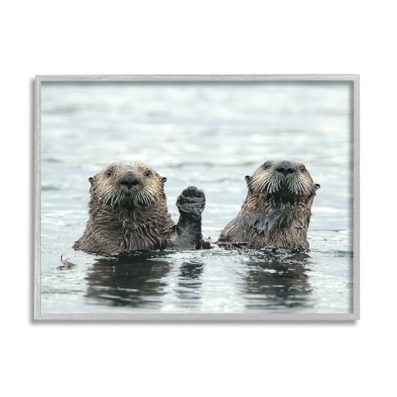 Stupell Industries Peeking Otters in Water Animals & Insects Photography Gray Framed Art Print Wall Art, 14 x 11