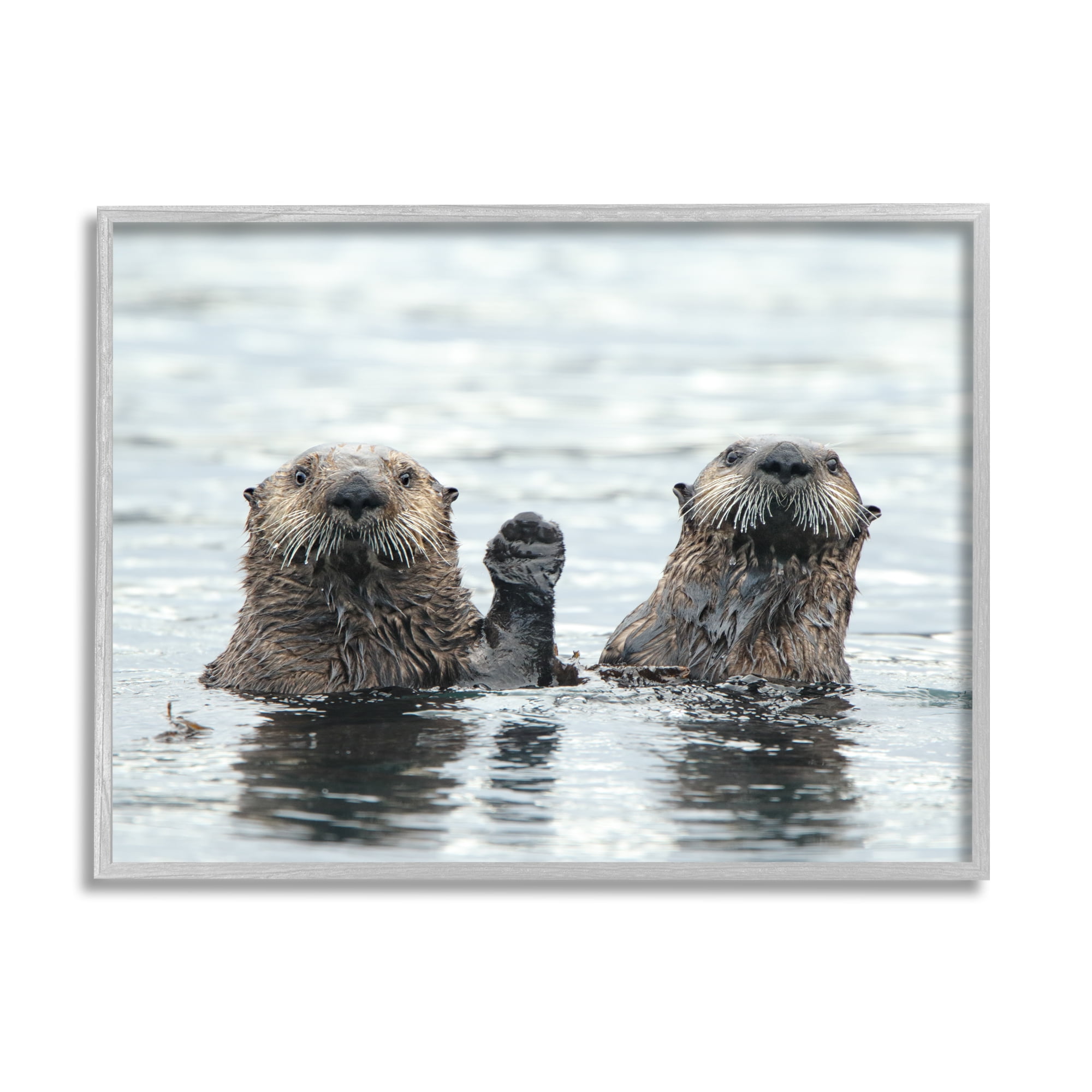 Stupell Industries Peeking Otters in Water Animals & Insects Photography Gray Framed Art Print Wall Art, 30 x 24