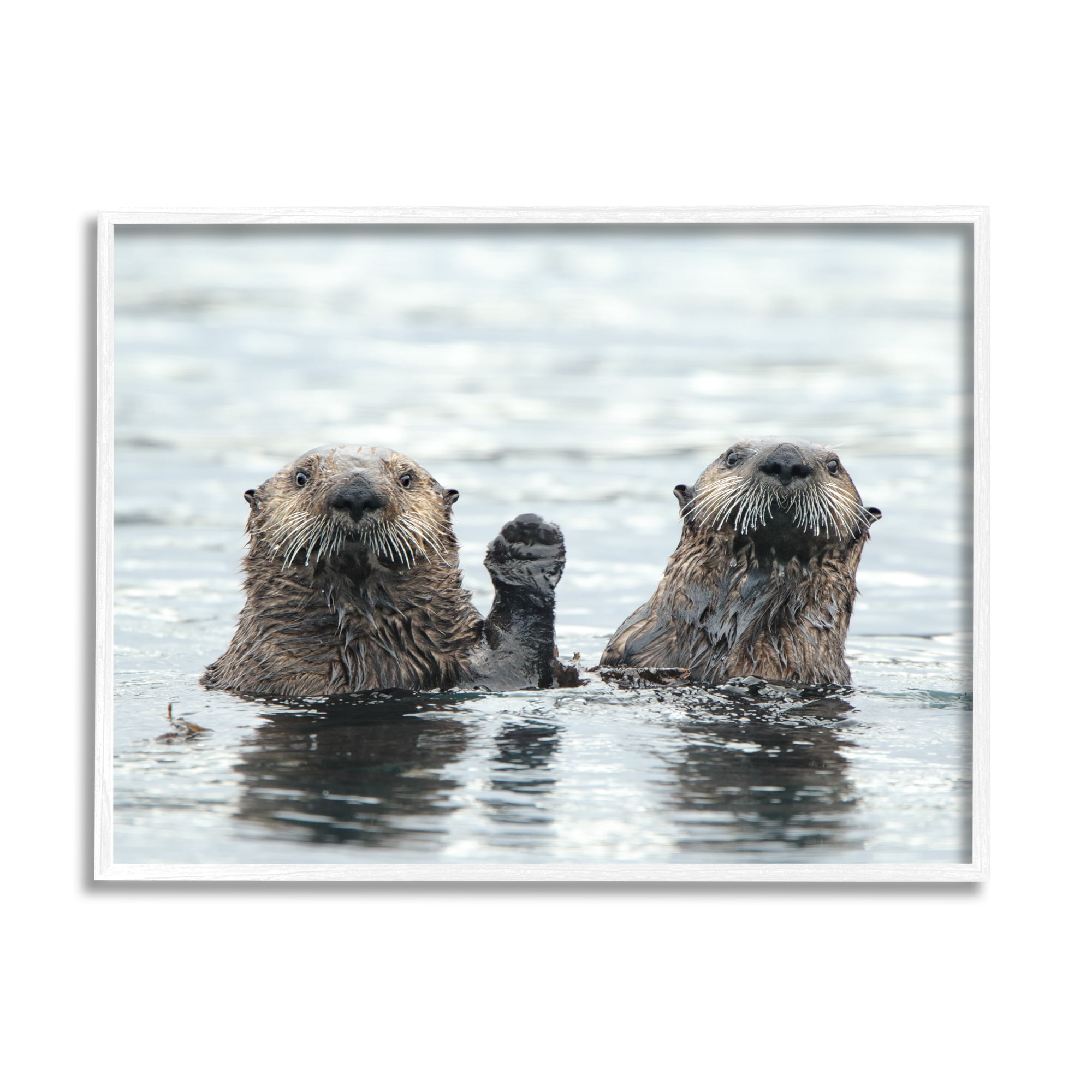 Stupell Industries Peeking Otters in Water Animals & Insects Photography White Framed Art Print Wall Art, 30 x 24
