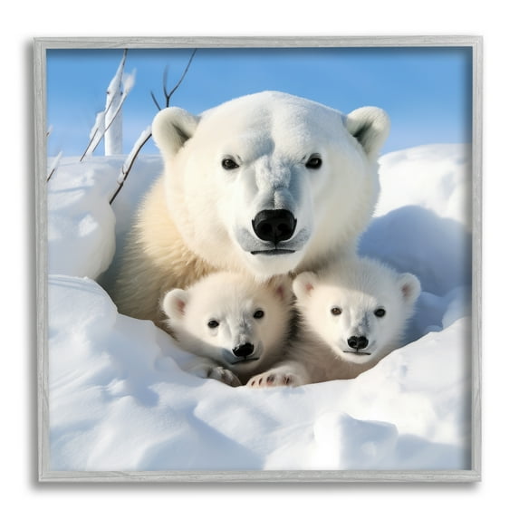 Stupell Industries Peeking Polar Bear & Cubs Animals & Insects Photography Gray Framed Art Print Wall Art, 12 x 12