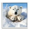 thumbnail image 1 of Stupell Industries Peeking Polar Bear & Cubs Animals & Insects Photography White Framed Art Print Wall Art, 12 x 12, 1 of 9