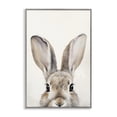 thumbnail image 1 of Stupell Industries Peeking Rabbit Eyes Animals & Insects Painting Gray Framed Art Print Wall Art, 16 x 24, 1 of 10
