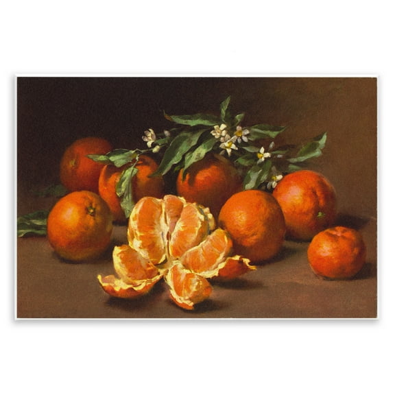 Stupell Industries Peeled Oranges Still Life Food & Beverage Painting Unframed Art Print Wall Art, 15 x 10