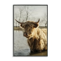 Stupell Industries Peering Cattle in Water Animals & Insects Photography Black Framed Art Print Wall Art, 12 x 18