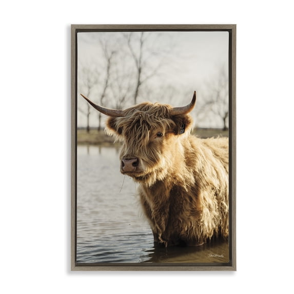 Stupell Industries Peering Cattle in Water Animals & Insects Photography Brown Floater Framed Canvas Art Print Wall Art, 17 x 25