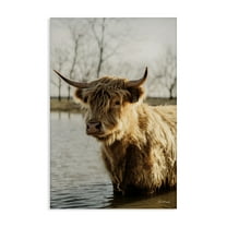 Stupell Industries Peering Cattle in Water Animals & Insects Photography Gallery Wrapped Canvas Art Print Wall Art, 16 x 24