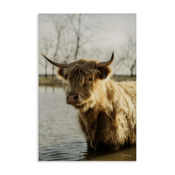 Stupell Industries Peering Cattle in Water Animals & Insects Photography Gallery Wrapped Canvas Art Print Wall Art, 16 x 24