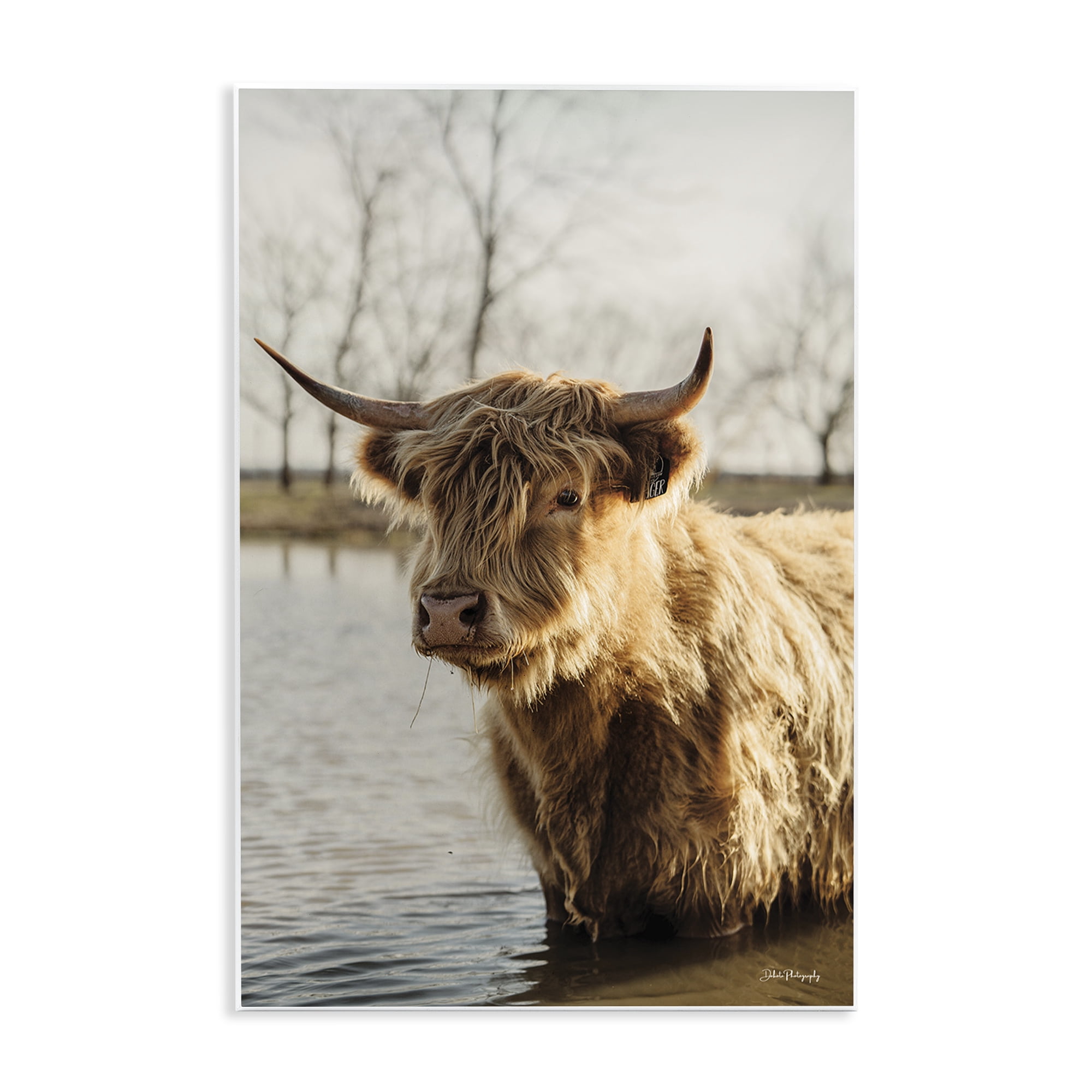 Stupell Industries Peering Cattle in Water Animals & Insects Photography Unframed Art Print Wall Art, 13 x 19