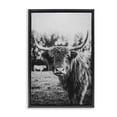 thumbnail image 1 of Stupell Industries Farmhouse Peering Highland Cattle Black Floating Frame Canvas Art, 17 x 25, by Dakota Diener, 1 of 8