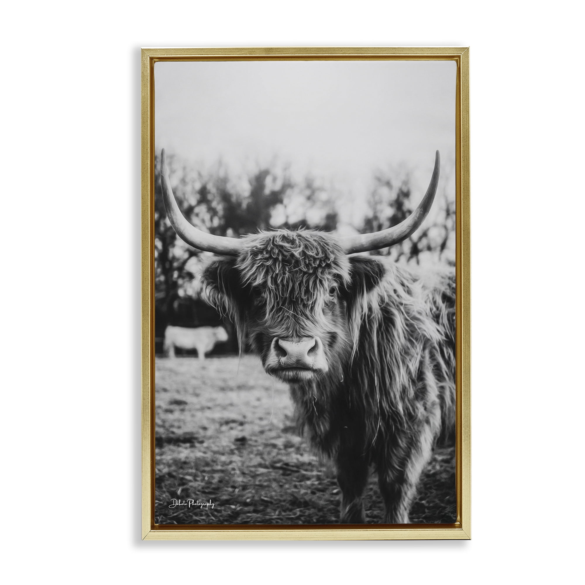 Stupell Industries Peering Highland Cattle Gold Framed Floater Canvas Wall Art, design by Dakota Diener