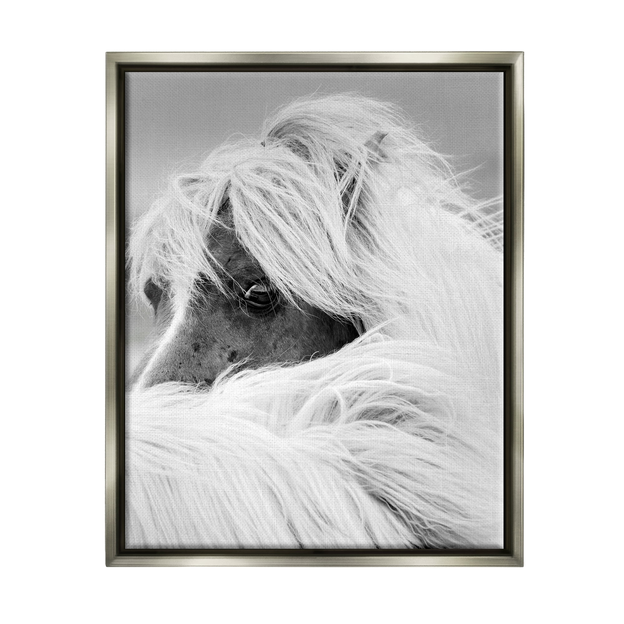 Stupell Industries Peering Horse Eyes Animals & Insects Photography Gray Floater Framed Canvas Art Print Wall Art, 17 x 21