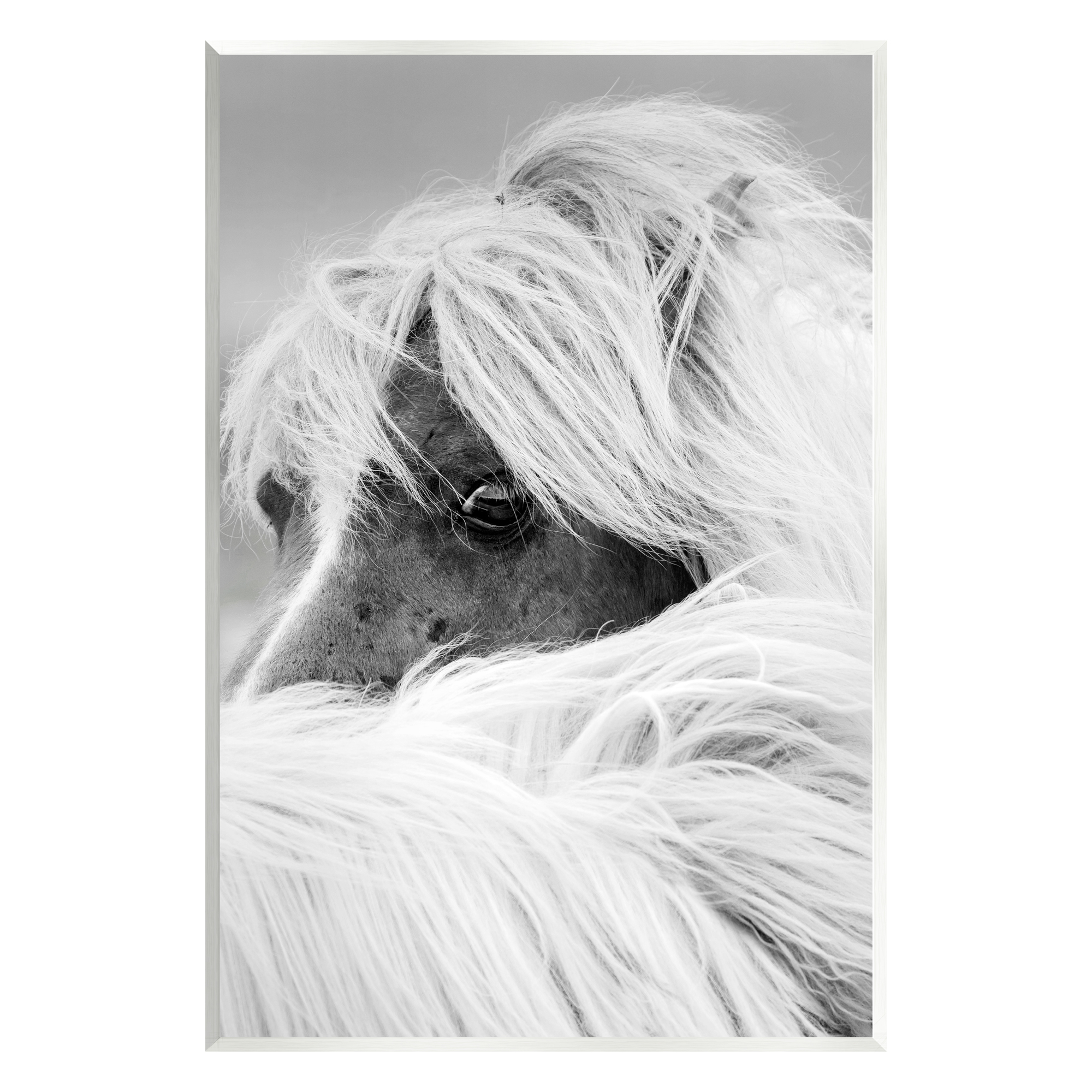 Stupell Industries Peering Horse Eyes Animals & Insects Photography Unframed Art Print Wall Art, 13 x 19