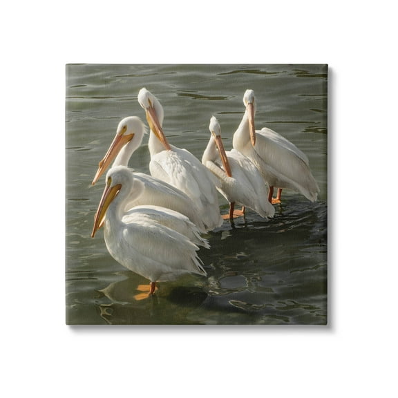 Stupell Industries Pelican Birds Standing Shallow Water Photograph Gallery Wrapped Canvas Print Wall Art, Design by David Lorenz