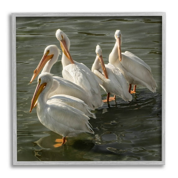 Stupell Industries Pelican Birds Standing Shallow Water Photograph Gray Framed Art Print Wall Art, Design by David Lorenz