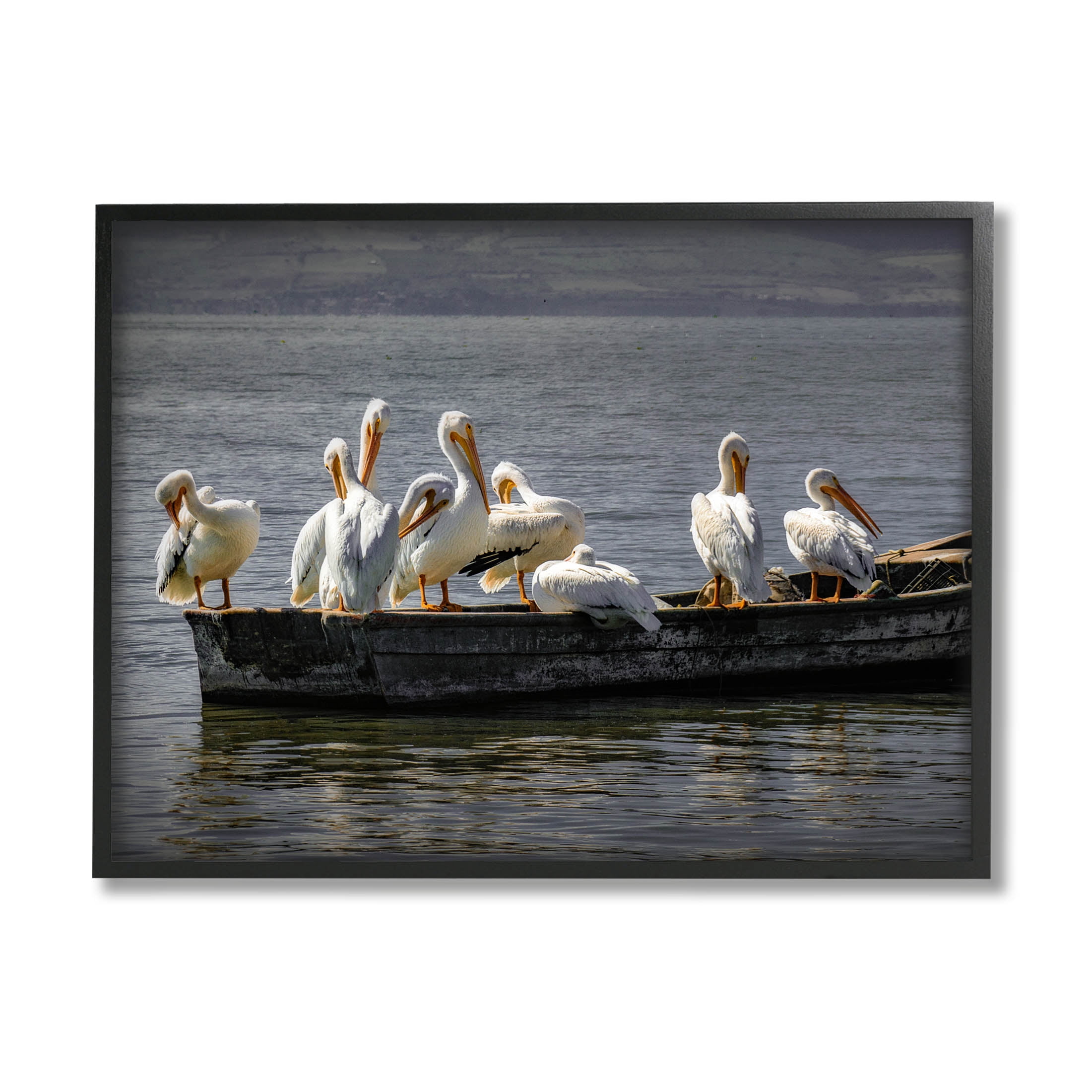 Stupell Industries Pelican Flock On Floating Lake Boat Photograph Black Framed Art Print Wall Art, Design by David Lorenz