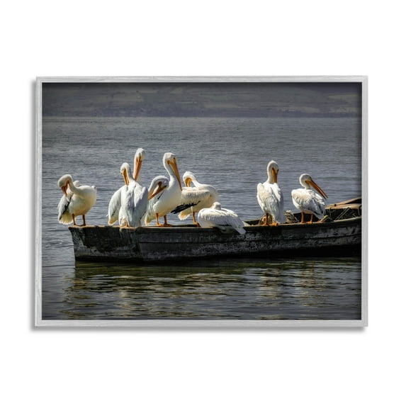 Stupell Industries Pelican Flock On Floating Lake Boat Photograph Gray Framed Art Print Wall Art, Design by David Lorenz