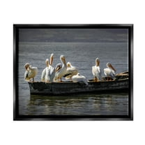 Stupell Industries Pelican Flock On Floating Lake Boat Photograph Jet Black Floating Framed Canvas Print Wall Art, Design by David Lorenz