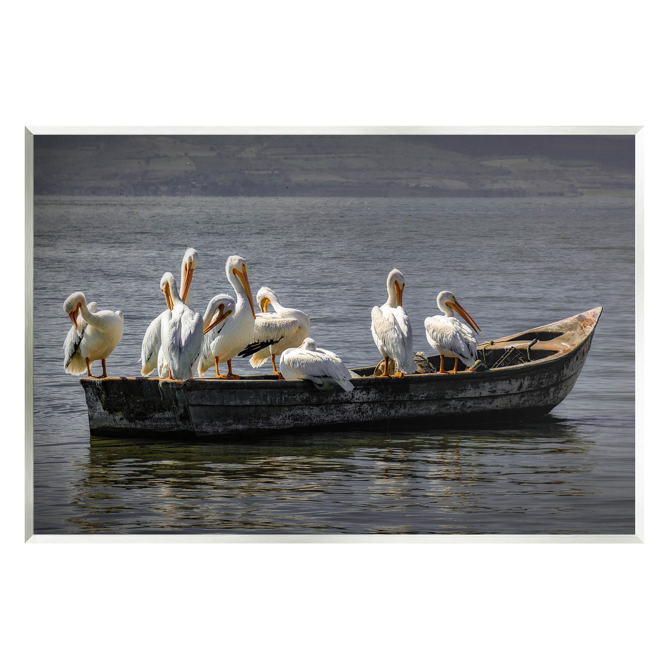 Stupell Industries Pelican Flock On Floating Lake Boat Photograph Unframed Art Print Wall Art, Design by David Lorenz