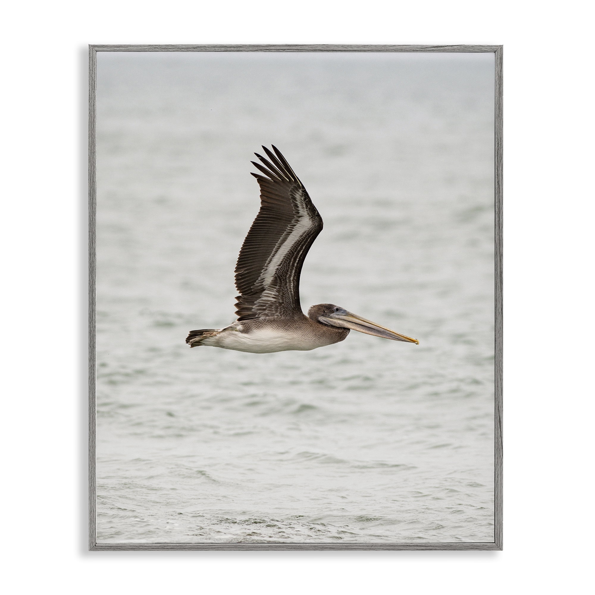 Stupell Industries Pelican Over Sea Animals Photography Gray Framed Art Print Wall Art, 16 x 20